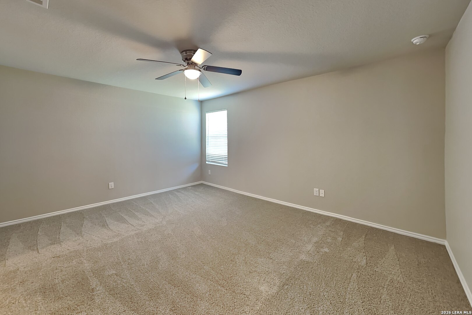 2431 Pechora Pipit New Braunfels TX 78130