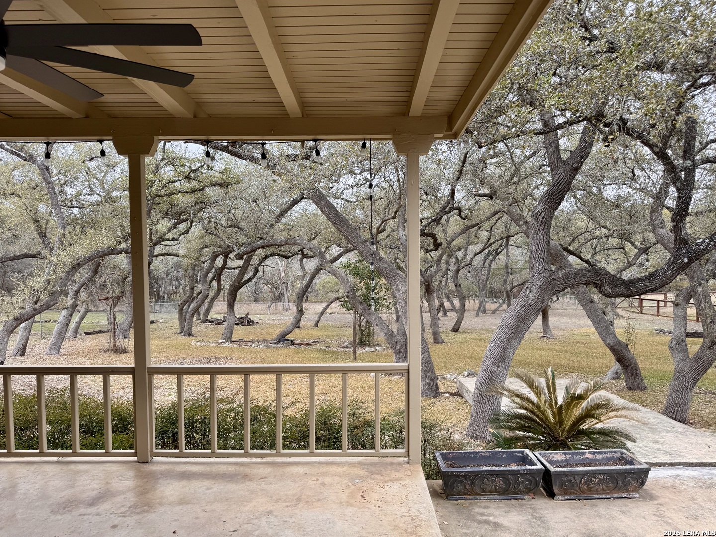 131 Canyon Oaks Drive Hollywood Park TX 78232