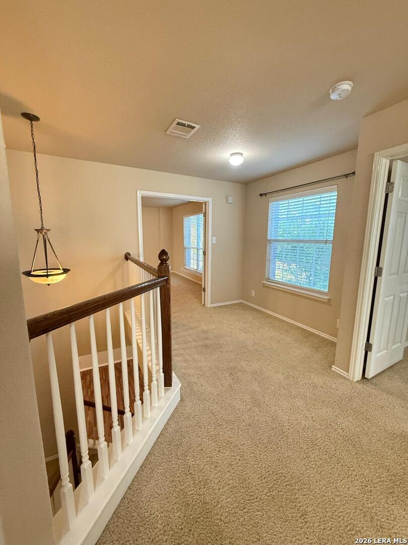 1015 Iris Path San Antonio TX 78245
