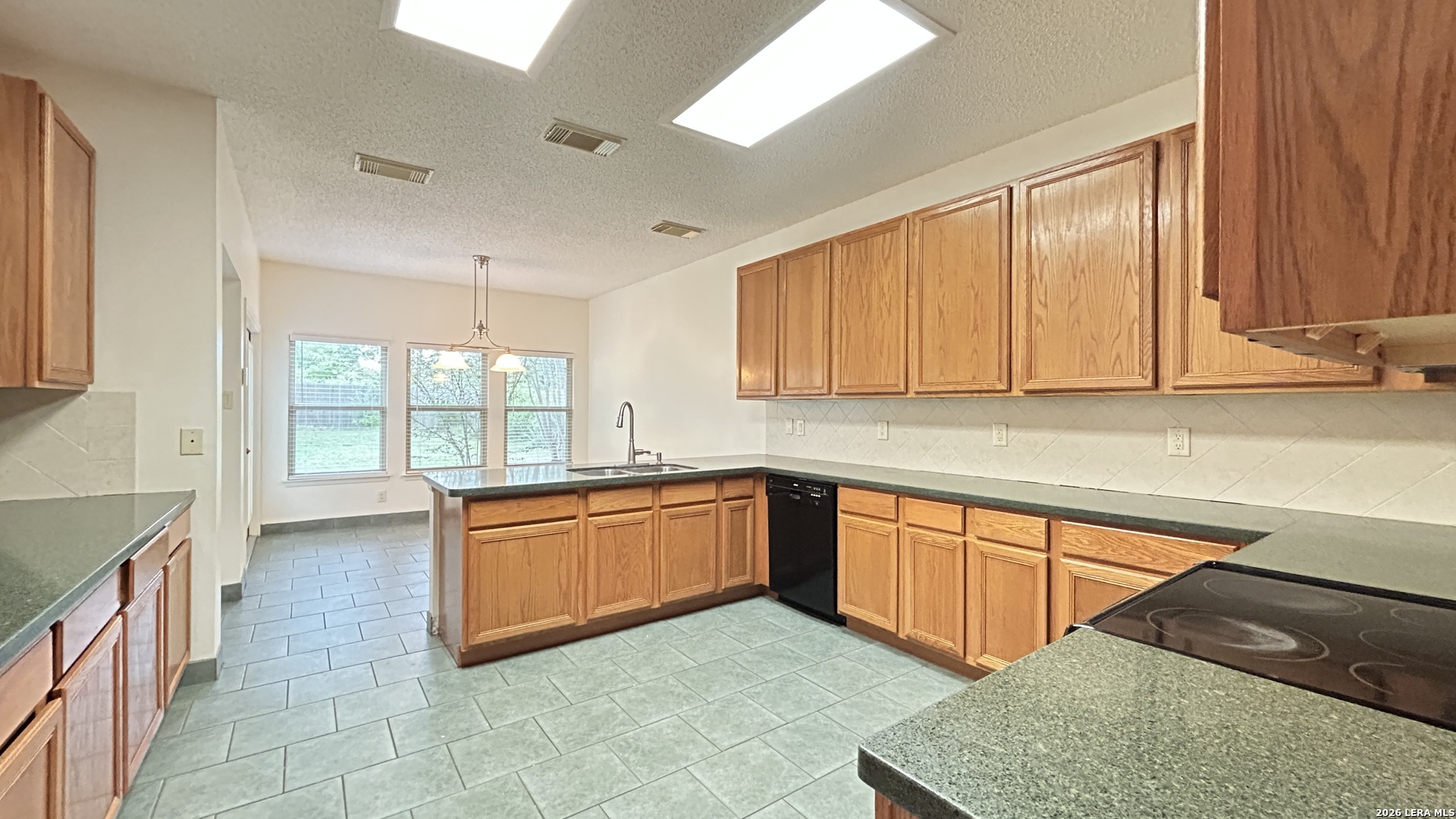 2203 Opal Creek Drive San Antonio TX 78232