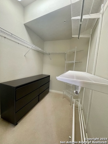 7342 Oak Manor San Antonio TX 78229