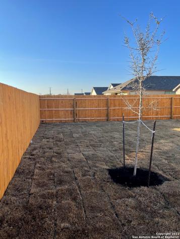 10538 Borlaug Street Converse TX 78109
