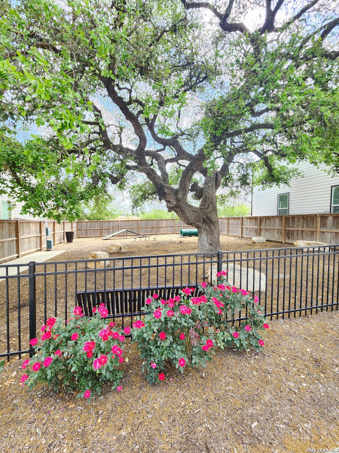 14839 Vance Jackson Road San Antonio TX 78249
