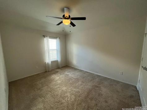 10811 Yaupon Holly Helotes TX 78023