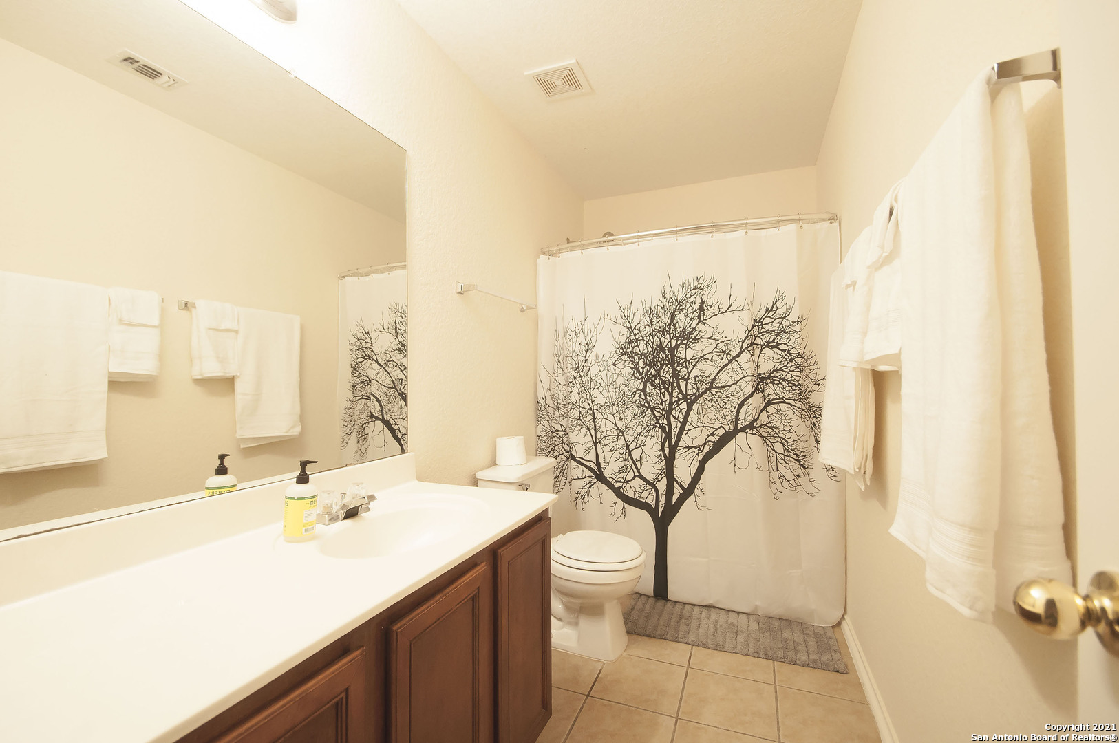 10106 Cedarcliff San Antonio TX 78245