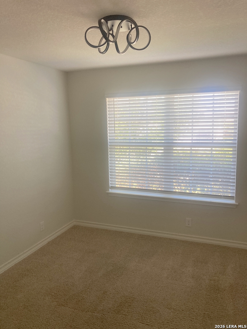 13313 Wood Sedge San Antonio TX 78254