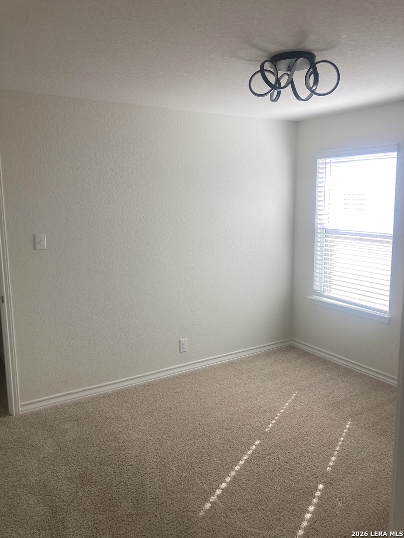 13313 Wood Sedge San Antonio TX 78254