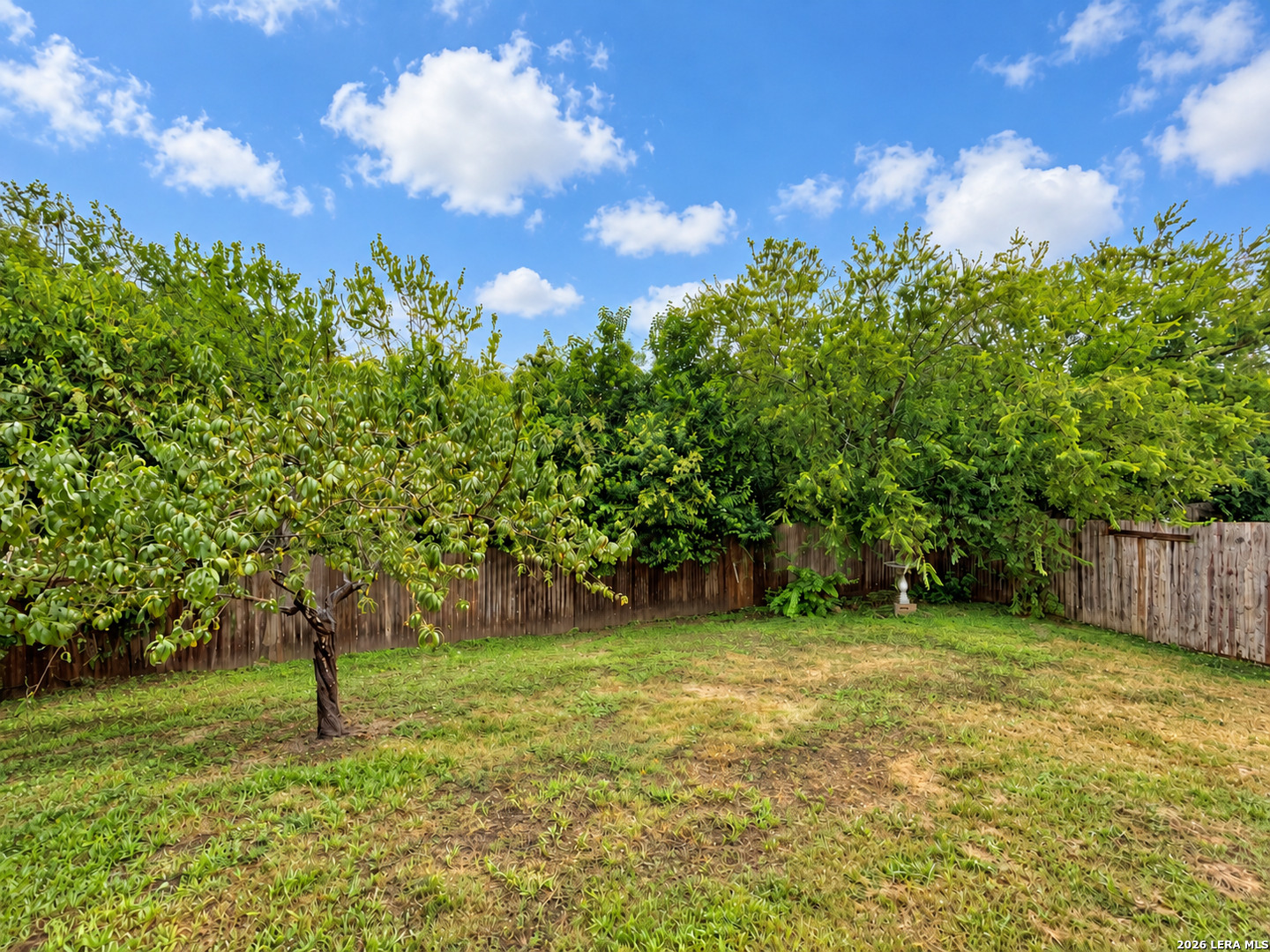 10802 Denae Drive Live Oak TX 78233