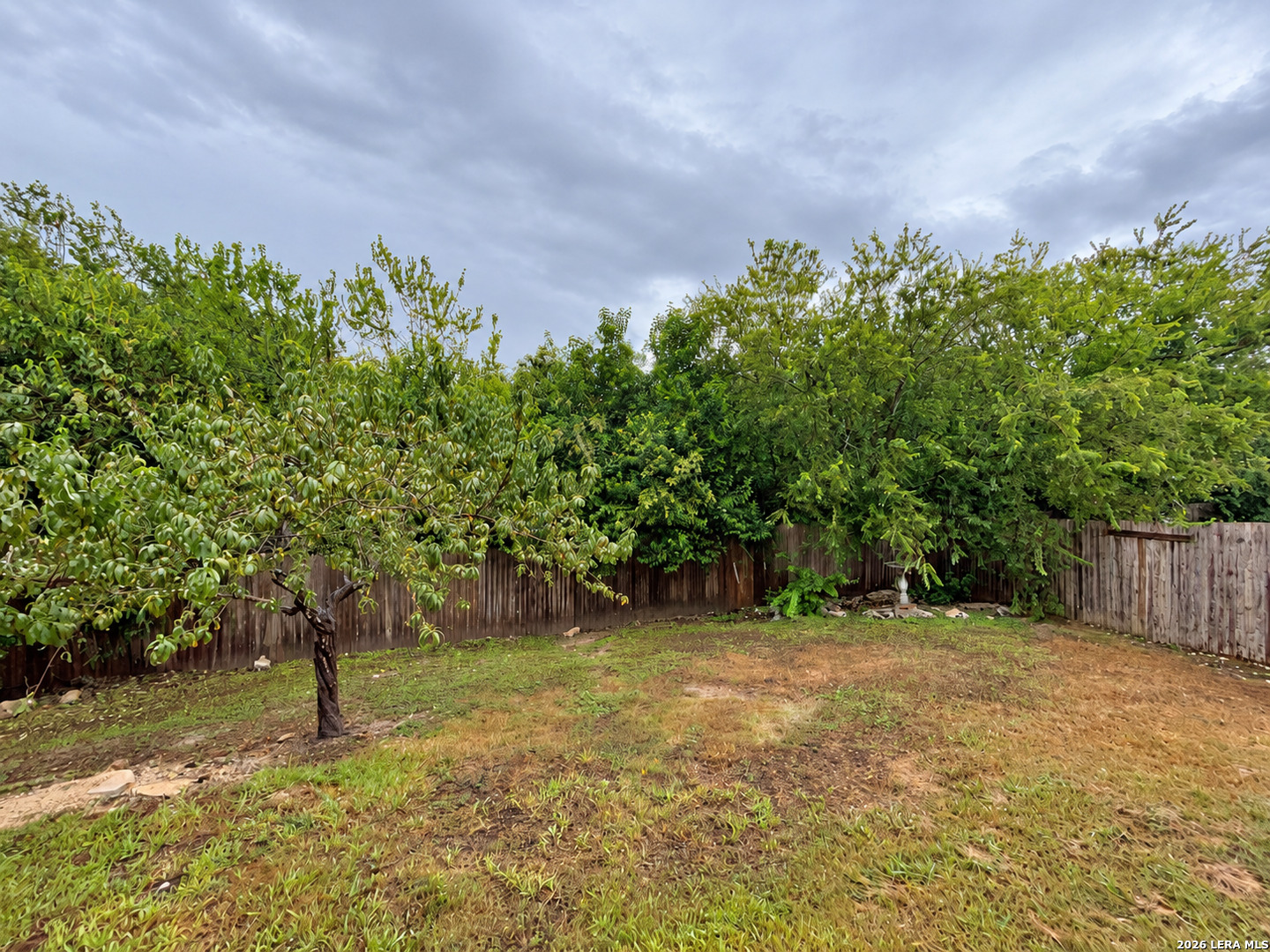 10802 Denae Drive Live Oak TX 78233