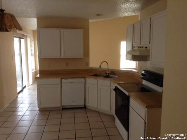 3319 Tree Grove Drive San Antonio TX 78247