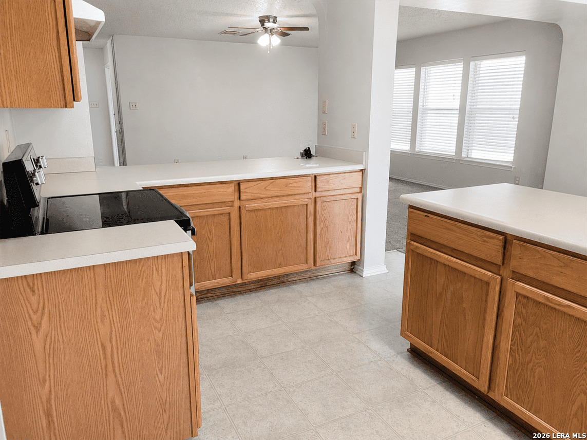 7334 Daulton Ridge Converse TX 78109