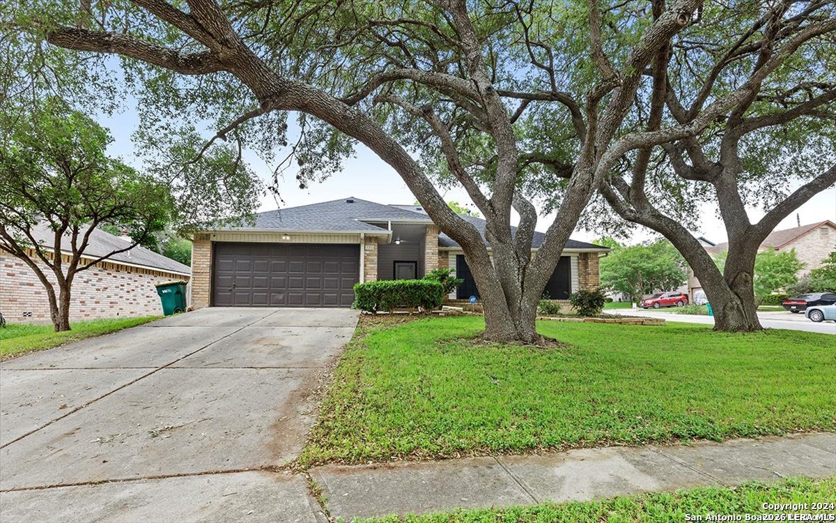 7733 Forest Live Oak TX 78233