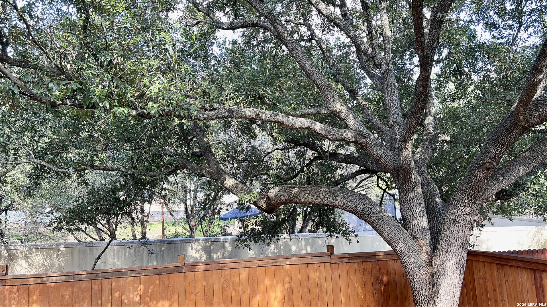 20214 Settlers Valley San Antonio TX 78258
