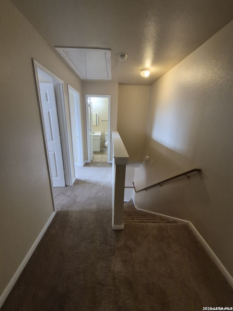 13040 O'connor Cove San Antonio TX 78233
