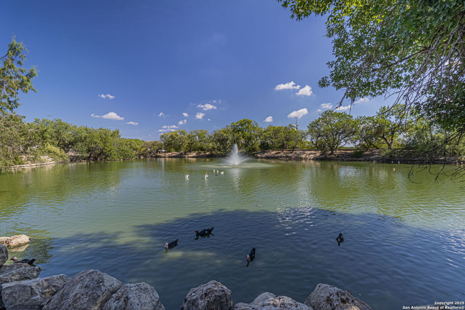 1142 Churing San Antonio TX 78245