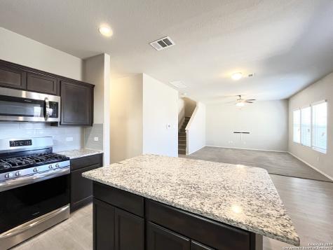 15167 Dione Bend San Antonio TX 78245