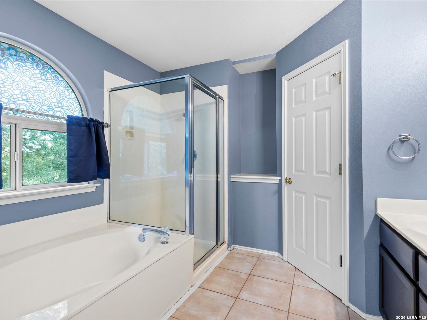 479 Bobcat Hollow San Antonio TX 78251