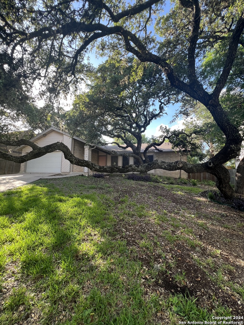 9123 Alpine Trail Street San Antonio TX 78250
