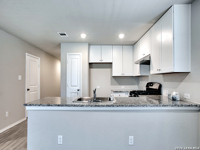 5367 Fair Moon Bulverde TX 78163