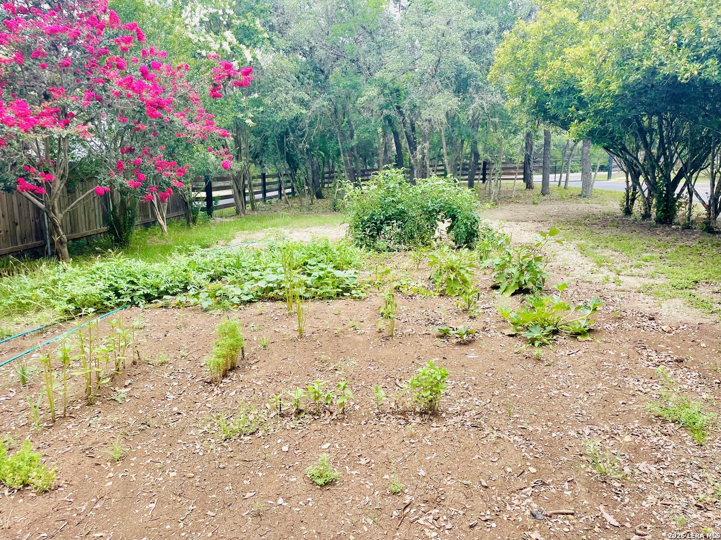 5 Chaparral Hill Boerne TX 78006
