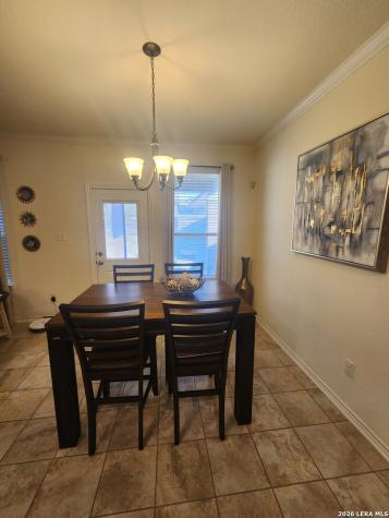 524 Landmark Cibolo TX 78108
