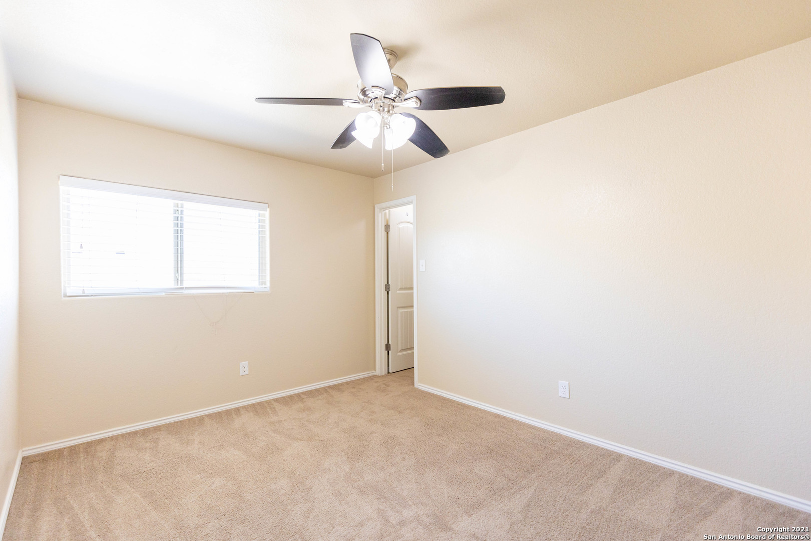 3742 Ox-eye Daisy San Antonio TX 78261