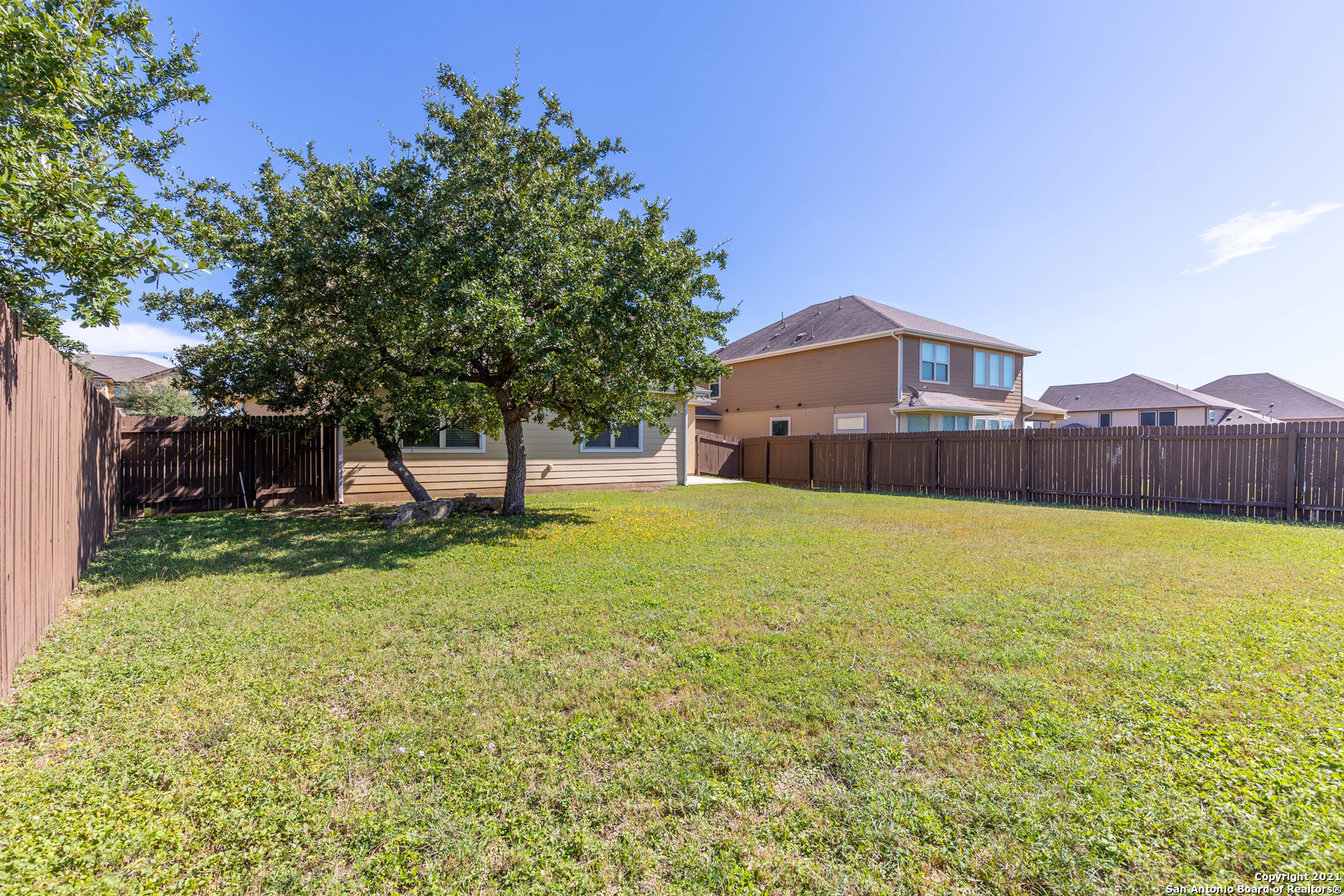 3742 Ox-eye Daisy San Antonio TX 78261
