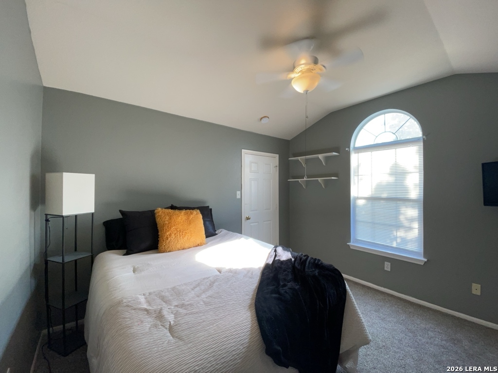 23610 Calico Chase San Antonio TX 78260