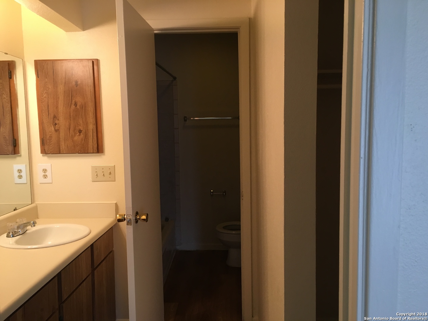 14517 Clovelly Wood San Antonio TX 78233