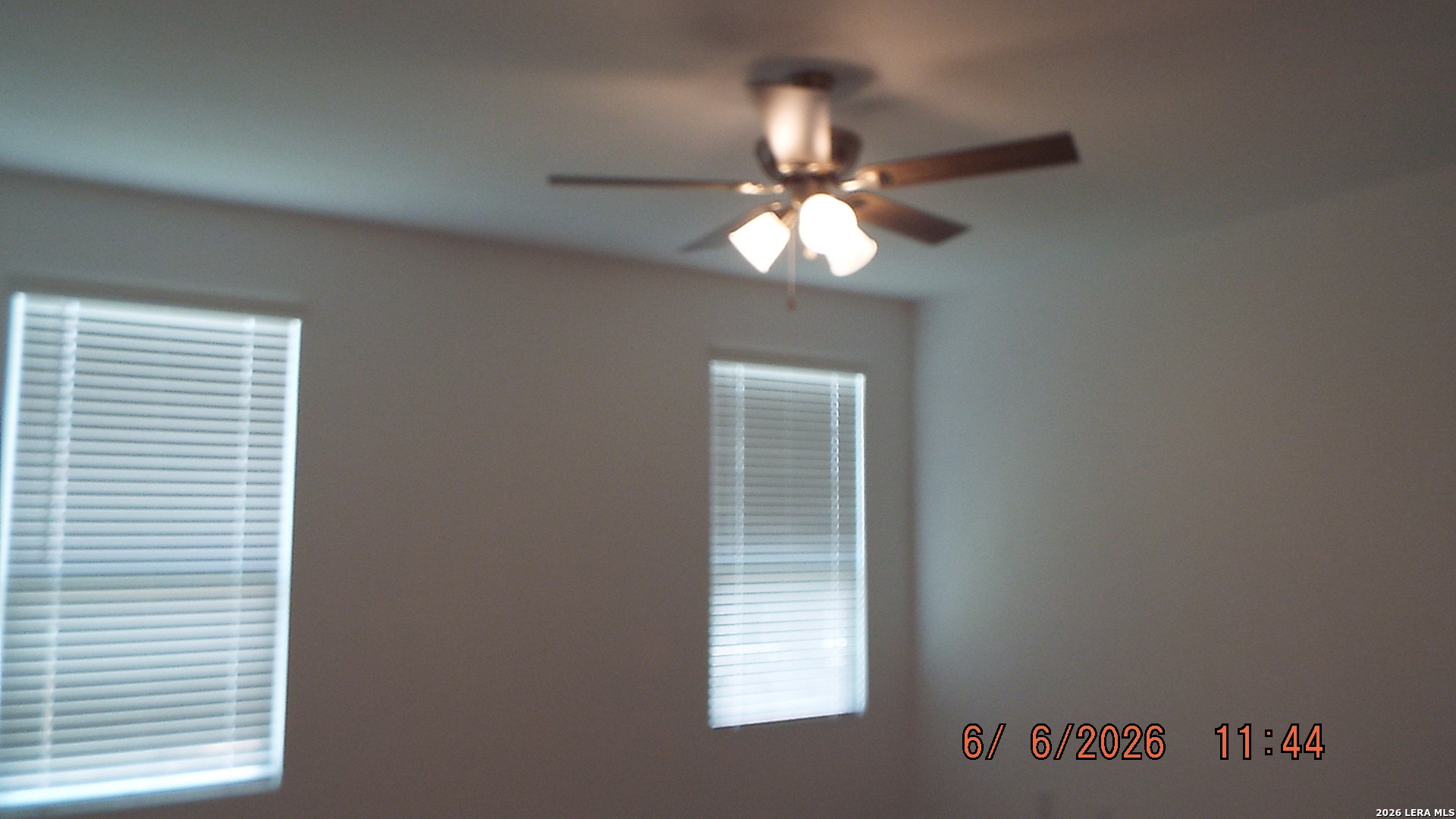 1920 Bonelli Eagle New Braunfels TX 78130