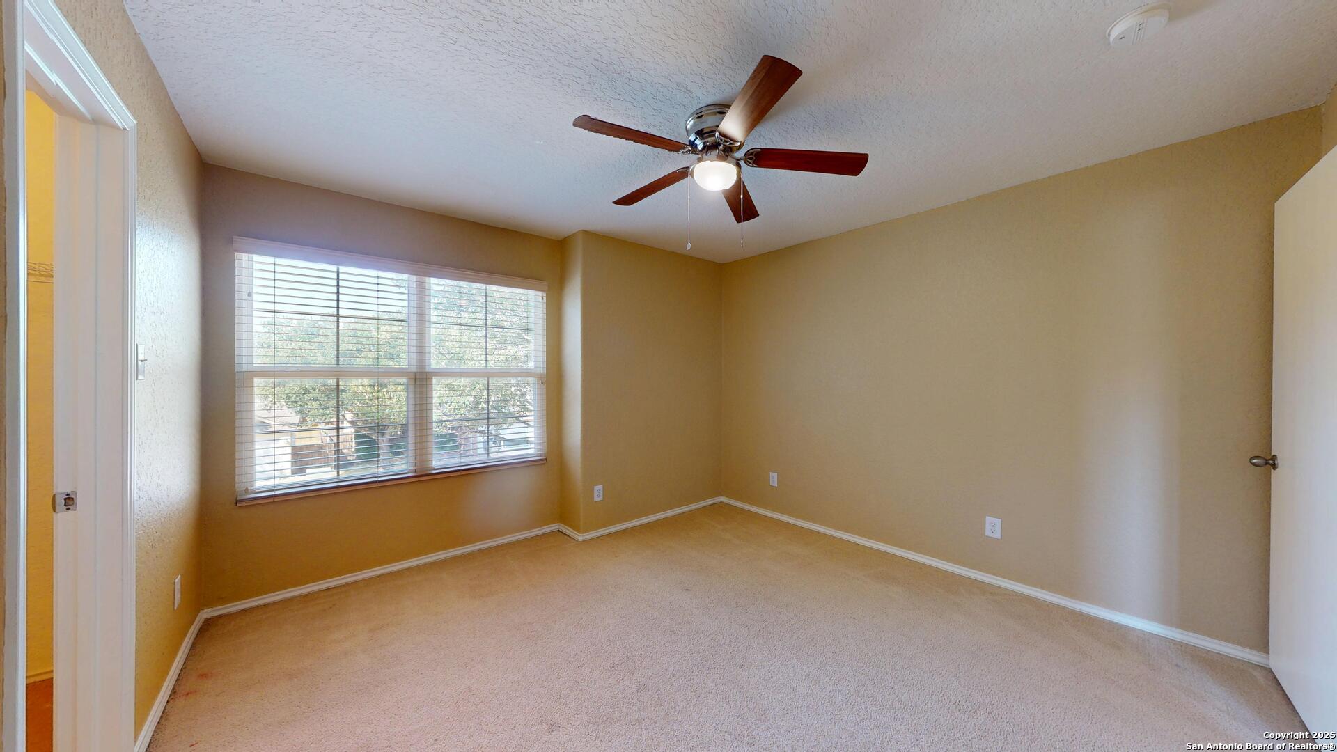 117 Foxglove Pass Cibolo TX 78108