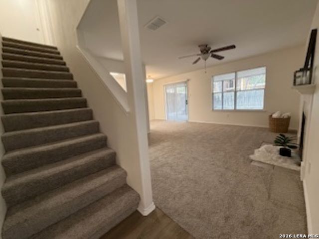 7715 Rustic San Antonio TX 78240