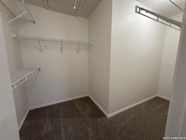 7715 Rustic San Antonio TX 78240