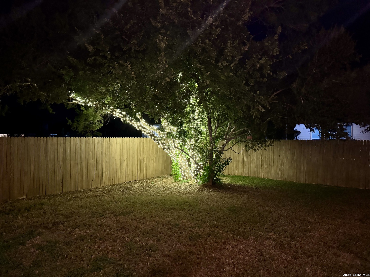 5311 Spanish Bluebells San Antonio TX 78261