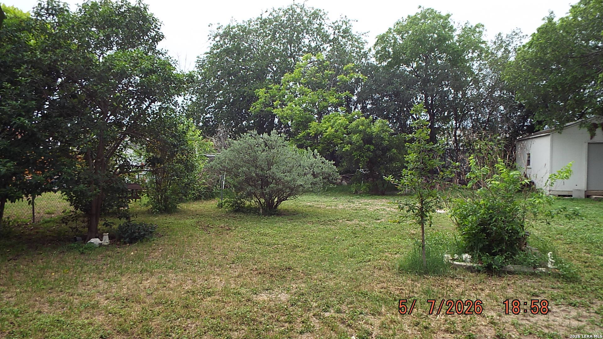 7329 Leading Oaks Live Oak TX 78233