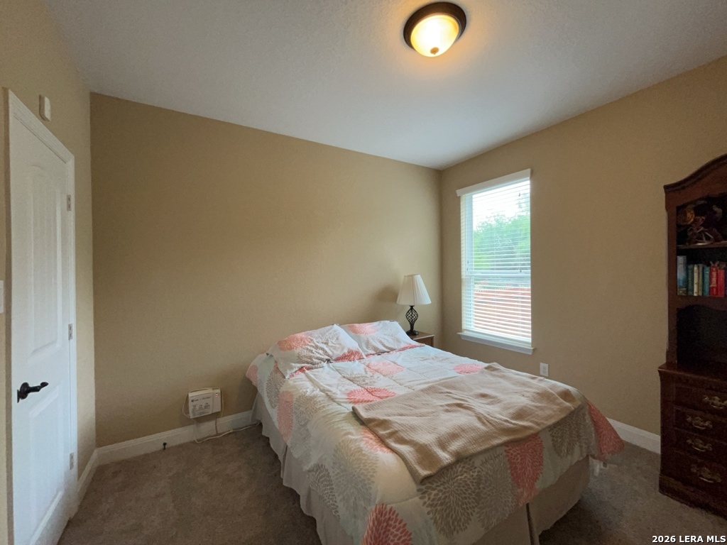 12442 Alstroemeria San Antonio TX 78253