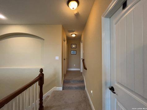 12442 Alstroemeria San Antonio TX 78253