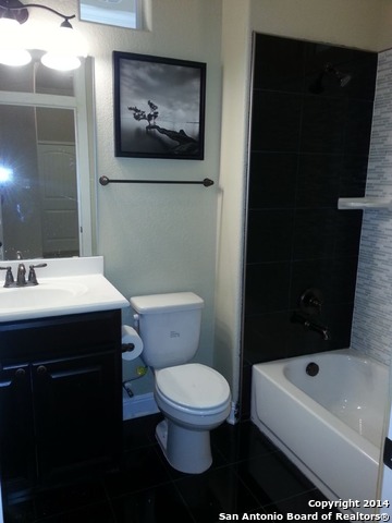 8610 Kihnu Willow San Antonio TX 78251