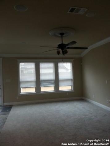 8610 Kihnu Willow San Antonio TX 78251