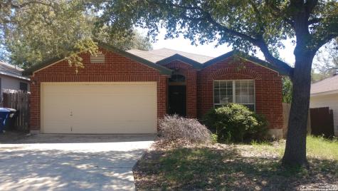 1238 Lion King San Antonio TX 78251