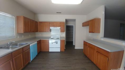 1238 Lion King San Antonio TX 78251