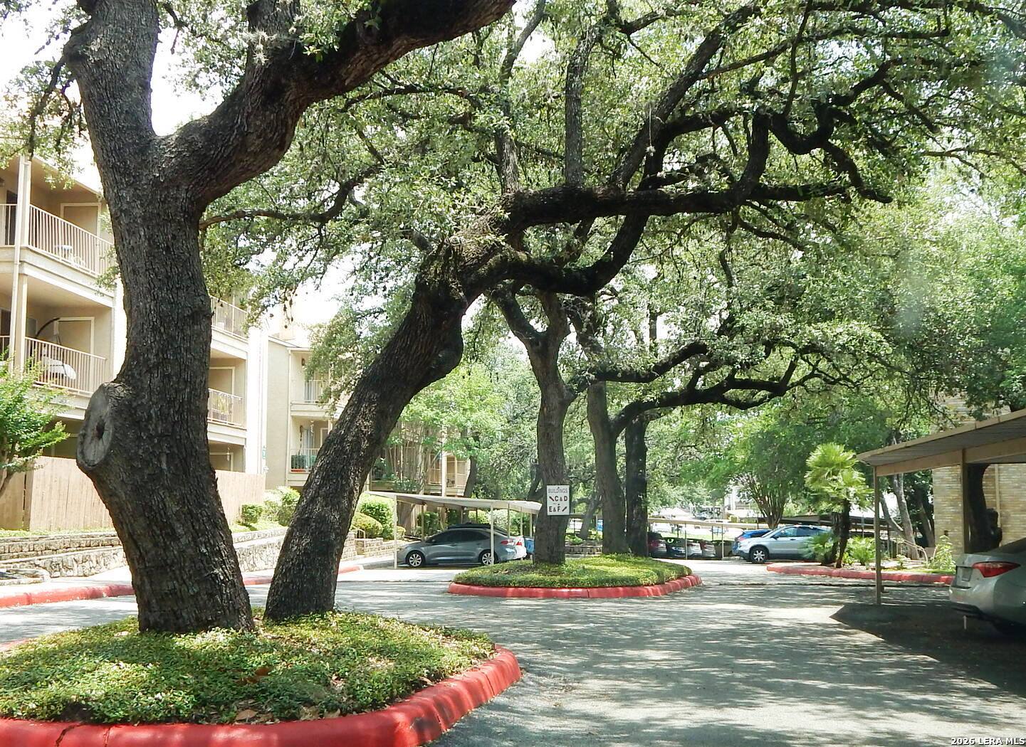 4119 Medical Drive San Antonio TX 78229