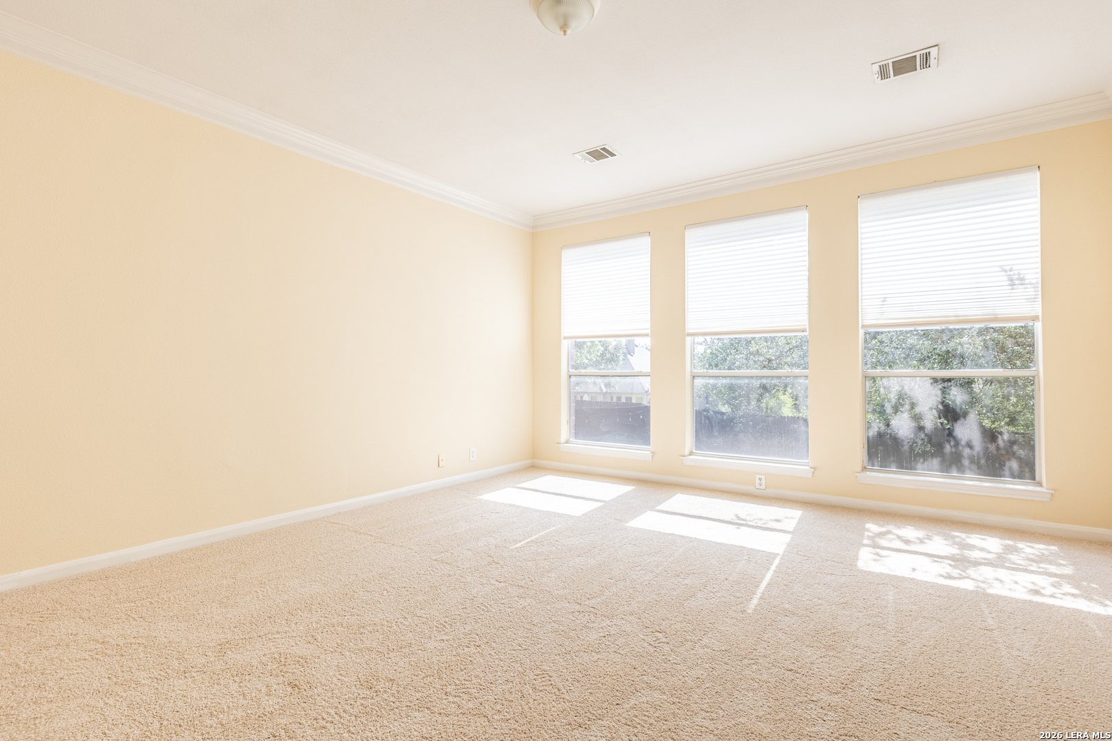 818 Penstemon Trail San Antonio TX 78256