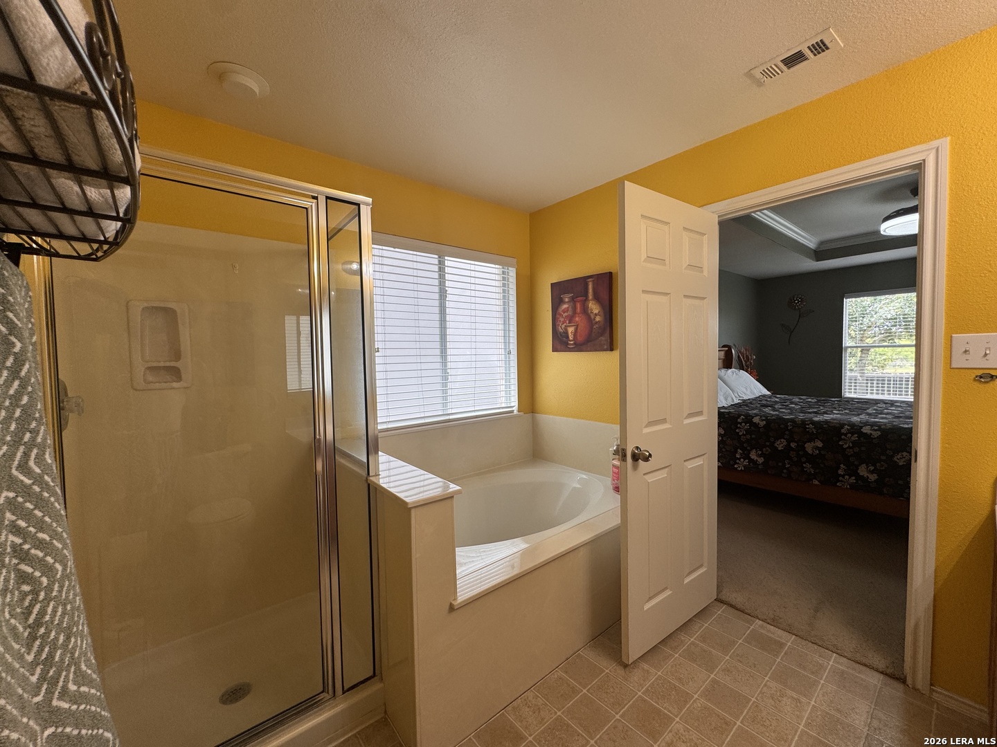 360 Willow View Cibolo TX 78108