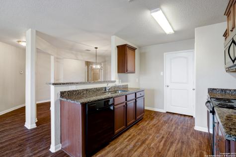 12118 Luckey View San Antonio TX 78252