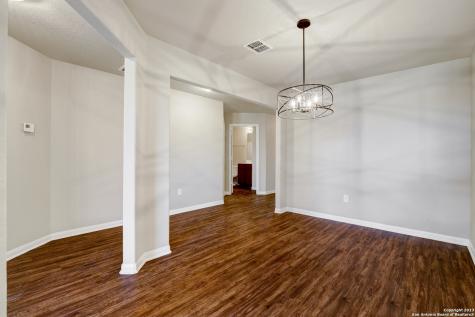 12118 Luckey View San Antonio TX 78252
