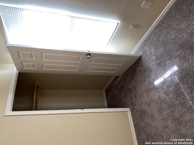 528 Wilcox Avenue San Antonio TX 78211