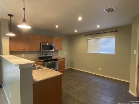 9923 Amber Ledge San Antonio TX 78245