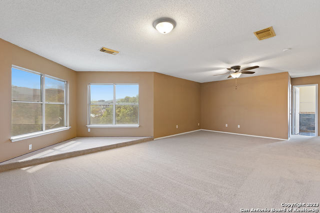 8118 Stagwood Hill San Antonio TX 78254
