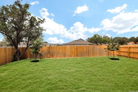 9947 Pears Mill San Antonio TX 78254